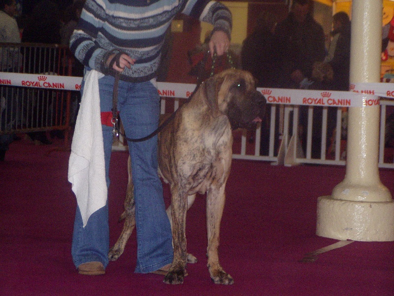 Elroy elsayan des terres de la rairie