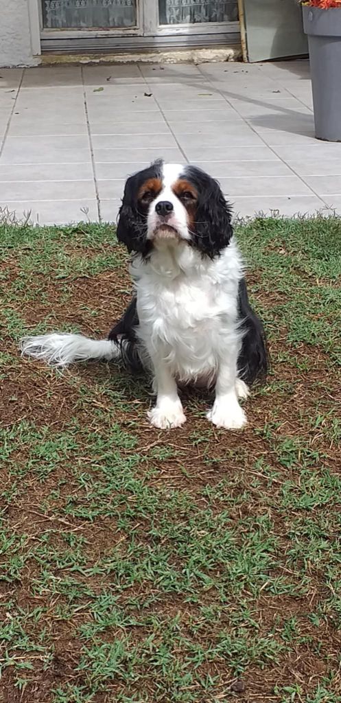 Tia Du Domaine Des Devets