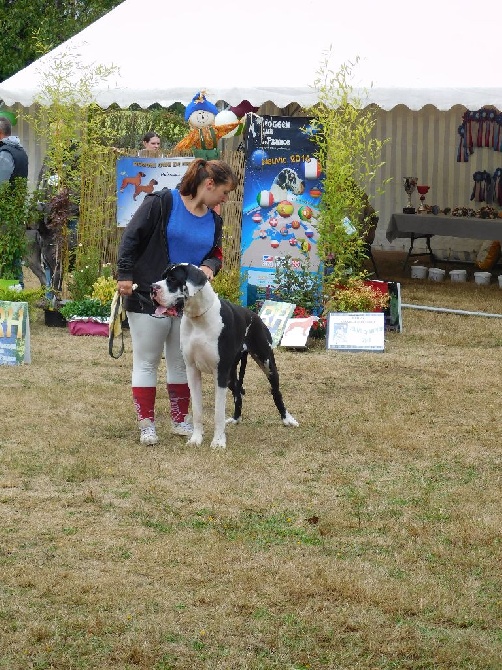 du Val de Courame - CHAMPIONNAT DU CLUB 2016