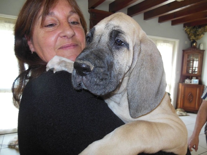 du Val de Courame - mon bébé avec sa nouvelle maman